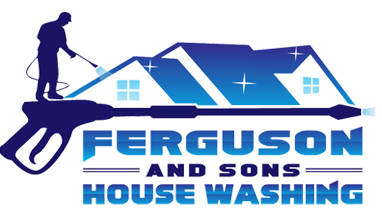 Ferguson and Sons House Washing Logo